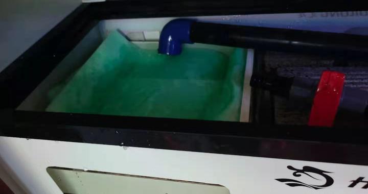 銀龍魚都喂什么飼料啊圖片(銀龍魚喂多少顆粒飼料)