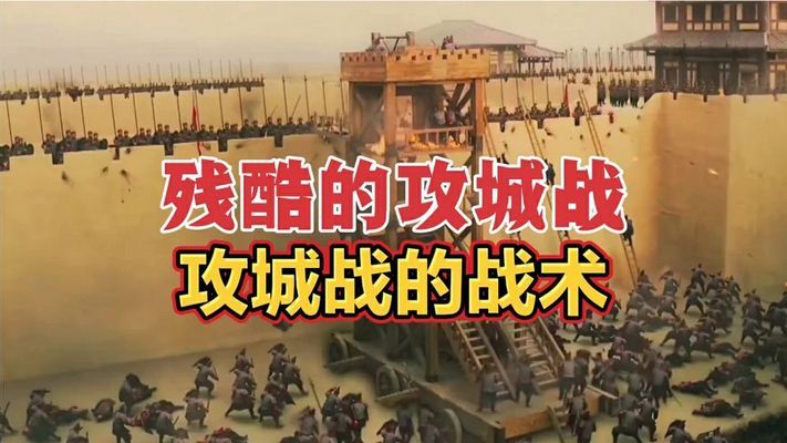 純魚缸造景：魚缸造景的基本步驟