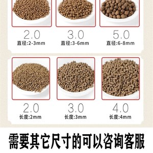 金龍魚30厘米價格多少錢一條