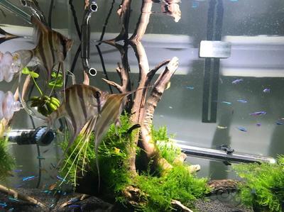 sunsun魚缸過濾器安裝圖 sunsun魚缸過濾器安裝圖 森森魚缸 第2張