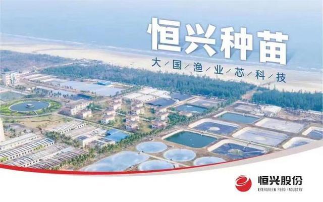 泰國虎魚和印尼虎魚的區(qū)別(泰國虎魚和印尼虎魚哪個貴)