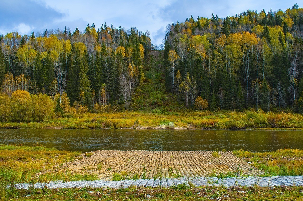 廣州祥龍魚場：打造庭院景觀的美好典范，讓您的生活更加美好 廣州祥龍魚場：打造庭院景觀的美好典范，讓您的生活更加美好 vs祥龍魚場 第2張