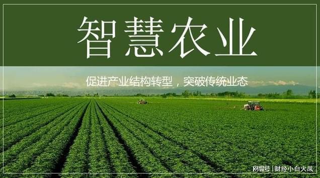 龍魚死掉魚頭朝上 龍魚死掉魚頭朝上 龍魚百科 第1張