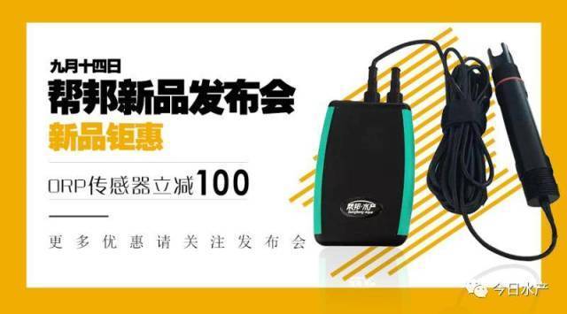 銀龍魚會不會吃小魚(銀龍魚會不會吃小魚仔)