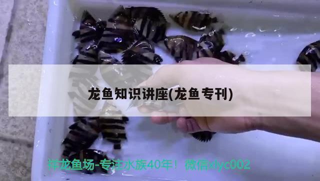虎魚眼睛內蒙還能看見嗎：虎魚眼睛內蒙是否能夠看見取決于病變的具體情況