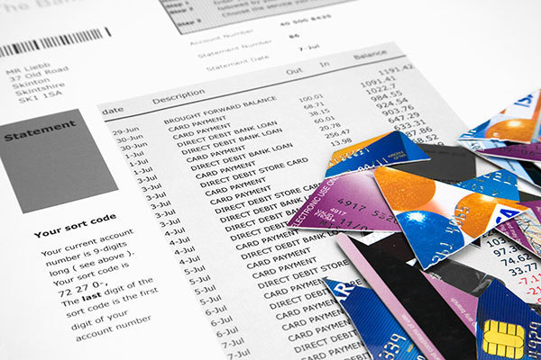 虎魚多少錢一條(虎魚圖片及價格)