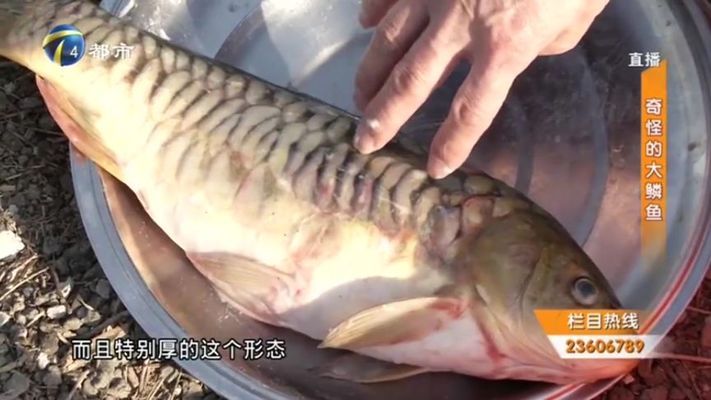 森森加熱棒故障e-1:森森加熱棒故障 森森魚缸 第1張 森森加熱棒故障e-1:森森加熱棒故障 森森加熱棒故障e-1:森森加熱棒故障 森森魚缸 第1張