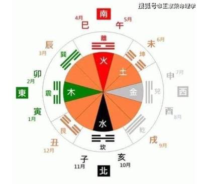 銀龍魚能與什么魚混養一起養魚(銀龍魚能不能和別的魚混合養)
