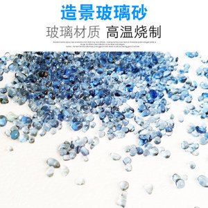 虎魚變明是什么意思?(虎魚怎么能變明)