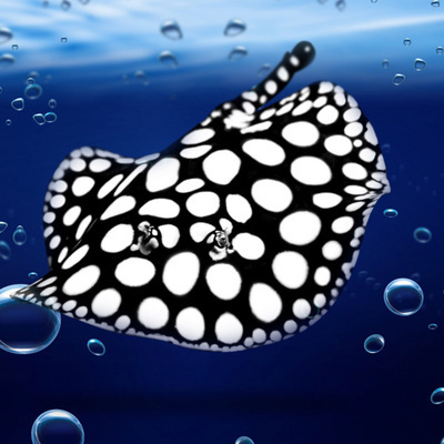 豬鼻龜養多大的好養一點兒(家養豬鼻龜能長多大) 豬鼻龜養多大的好養一點兒(家養豬鼻龜能長多大) 豬鼻龜百科 第2張