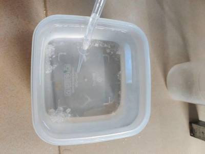 豬鼻龜什么時候禁止買賣的呀(豬鼻龜是哪一年禁止售賣的) 豬鼻龜什么時候禁止買賣的呀(豬鼻龜是哪一年禁止售賣的) 豬鼻龜百科 第2張