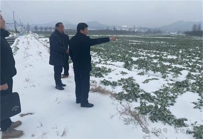 銀龍魚用什么顏色的燈光好養(養金龍魚要用什么顏色的燈光)