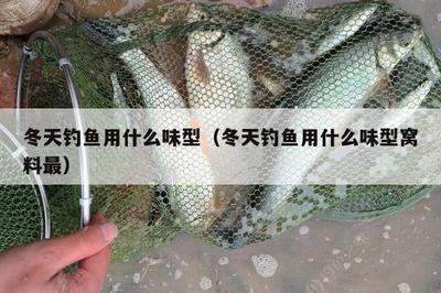 紅龍魚的壽命是多少年：關(guān)于紅龍魚壽命的詳細(xì)信息