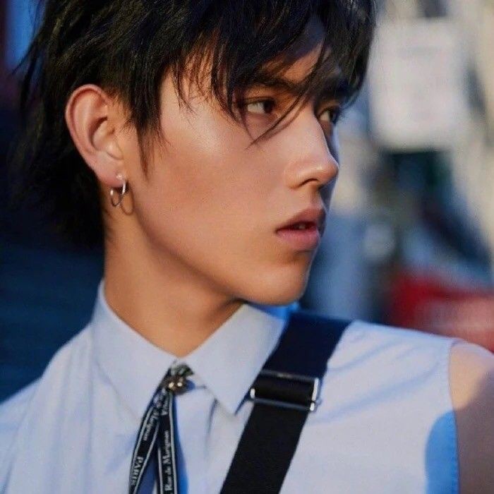 安陽龍魚店，安陽地區的龍魚相關店鋪呈現多樣化經營特點