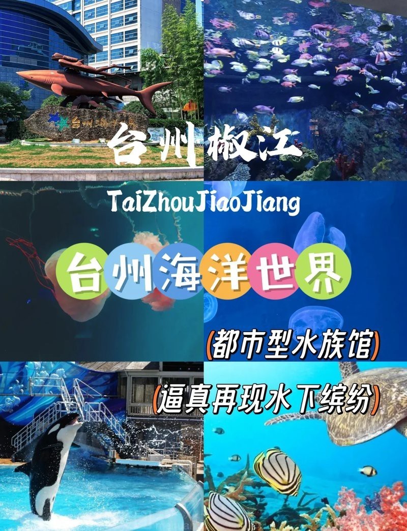 臺(tái)州水族店，臺(tái)州海洋世界:臺(tái)州海洋世界博雅地名分享網(wǎng)臺(tái)州海洋世界