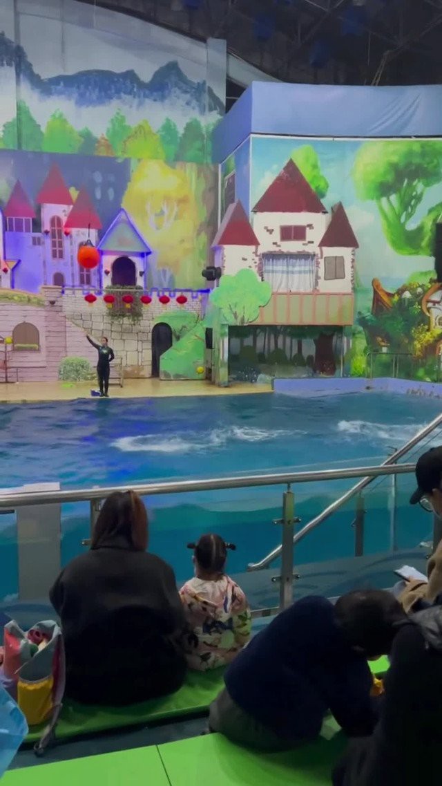臺(tái)州水族店，臺(tái)州海洋世界:臺(tái)州海洋世界博雅地名分享網(wǎng)臺(tái)州海洋世界