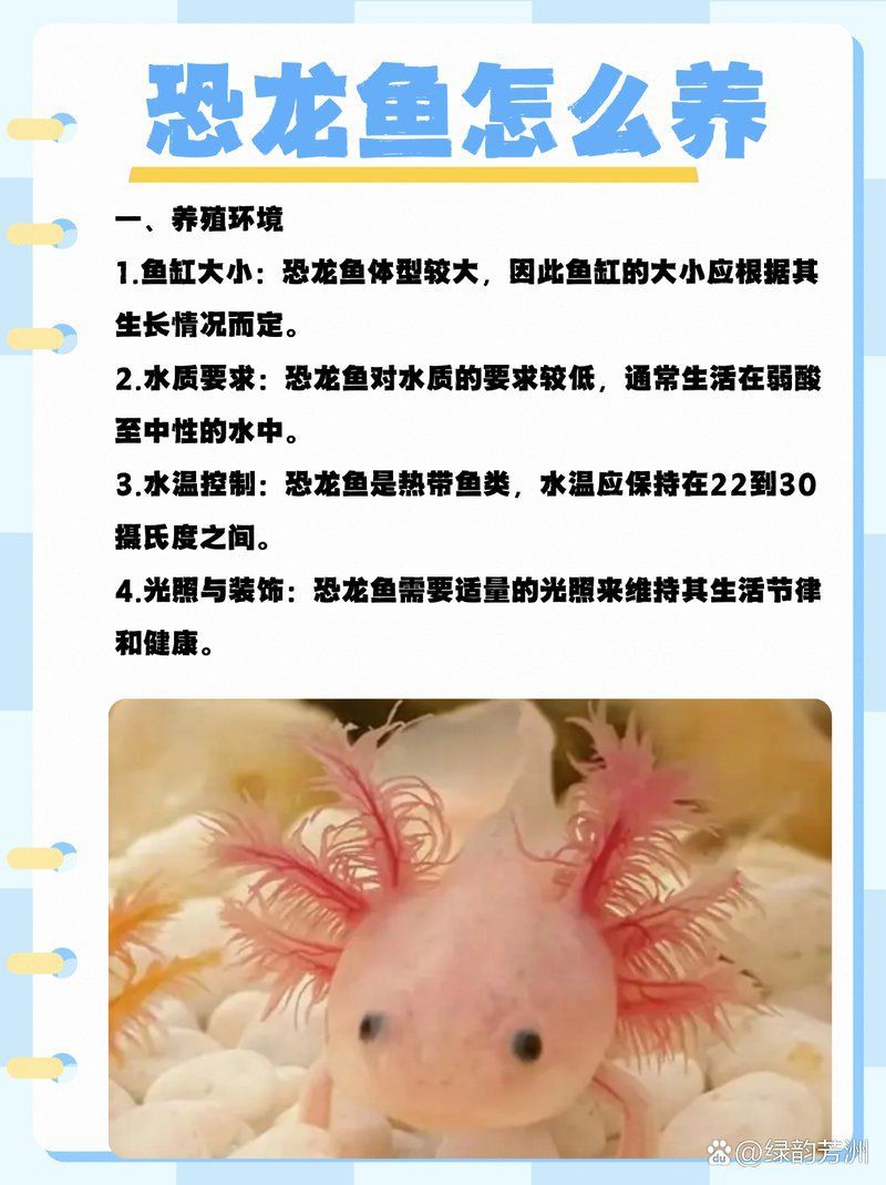 恐龍王魚(yú)混養(yǎng)最怕三個(gè)東西，恐龍王魚(yú)混養(yǎng)三大禁忌