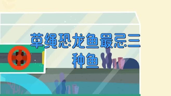 恐龍王魚(yú)混養(yǎng)最怕三個(gè)東西，恐龍王魚(yú)混養(yǎng)三大禁忌