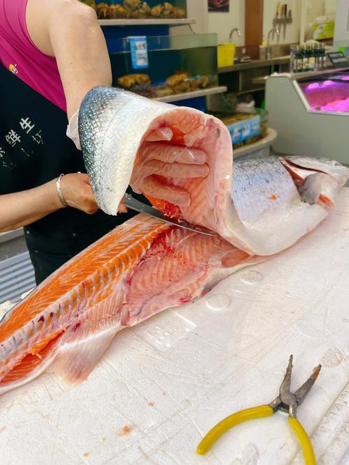 三紋魚圖片大全大圖，《三紋魚圖片大全大圖》