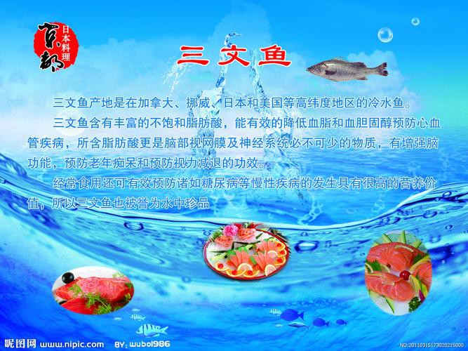 三紋魚圖片大全大圖，《三紋魚圖片大全大圖》