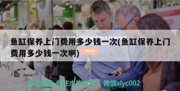 魚缸保養上門費用多少錢一次(魚缸保養上門費用多少錢一次啊)