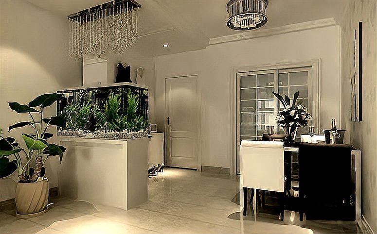 開門就見魚缸 正對大門，《開門就見魚缸正對大門》魚缸擺放位置與注意事項