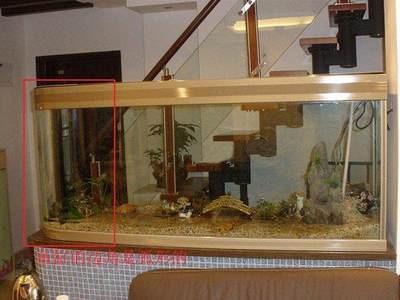 紅龍魚的介紹詞：紅龍魚養殖技術要點