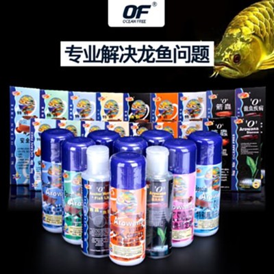 嘴是紅色的魚叫什么龍魚：嘴是紅色的魚叫什么龍魚圖片 嘴是紅色的魚叫什么龍魚：嘴是紅色的魚叫什么龍魚圖片 水族問答 第1張