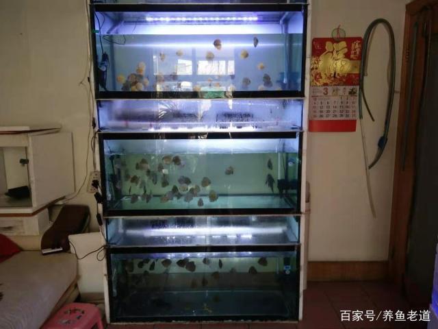 涿州市仁和水族館（涿州市仁和水族館電話）