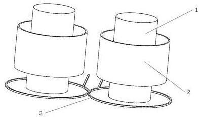 銀龍魚的養殖方法和注意事項圖片欣賞大全大圖(銀龍魚的飼養方法)
