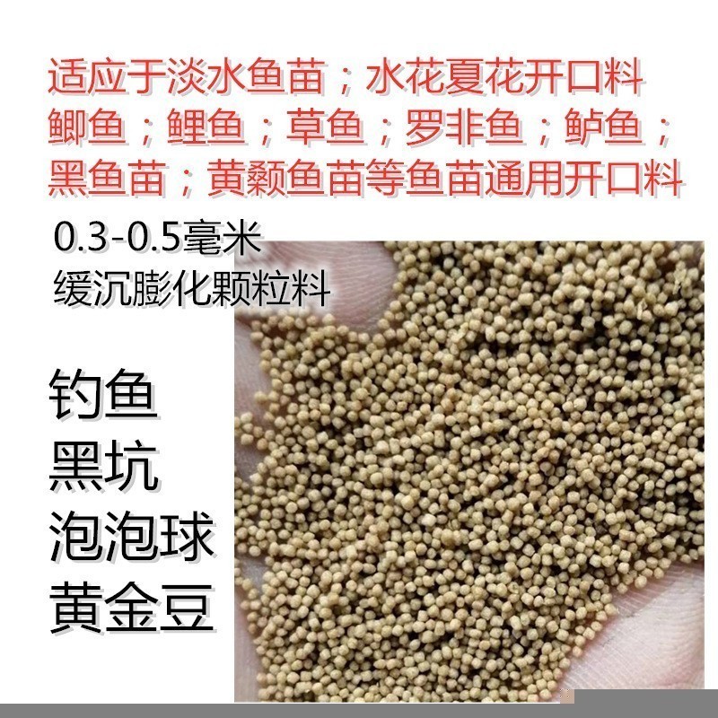 銀龍魚好養嗎注意些什么事項呢(銀龍魚好養嗎注意些什么事項呢)