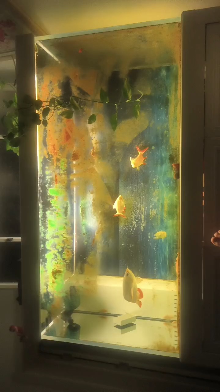 打開
