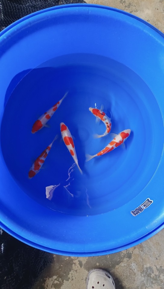 國慶你們去了哪里玩了