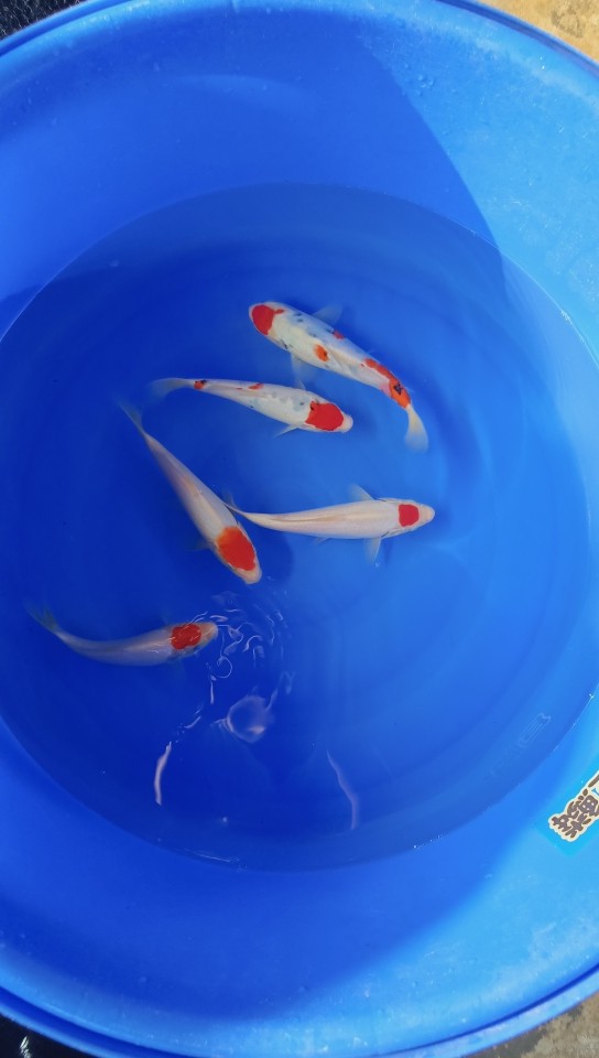 國慶你們去了哪里玩了