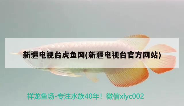 新疆電視臺虎魚網(新疆電視臺官方網站) 新疆電視臺虎魚網(新疆電視臺官方網站) 虎魚百科