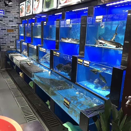 大興黃村哪里有賣魚缸的店啊：北京大興黃村及其周邊地區的賣魚缸的店鋪