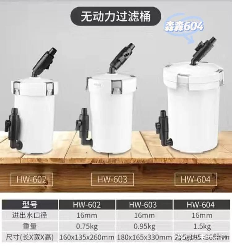 吳忠魚缸維護，吳忠地區魚缸維護方案