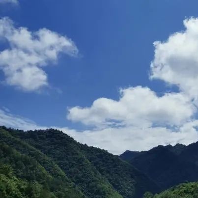 吳忠魚缸維護，吳忠地區魚缸維護方案