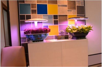 撫順市新撫王煥來水族館（撫順市新撫王煥來水族館地址）