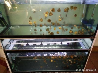 呼和浩特魚缸造景哪家好（你最想去廣西哪一個(gè)城市游玩）