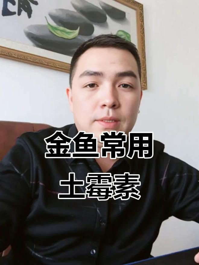 有哪些藥物可以有效治療金魚充血？，金魚體表充血怎么辦