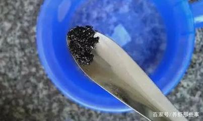 比較好養(yǎng)的魚缸觀賞魚品種：根據(jù)搜索結(jié)果推薦幾種比較好養(yǎng)的魚缸觀賞魚品種