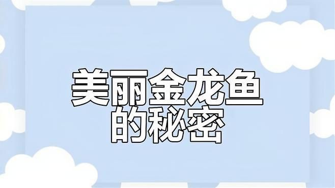 活體金龍魚(yú)，皇崗海關(guān)查獲非法攜帶入境的活體金龍魚(yú)案例（cites）