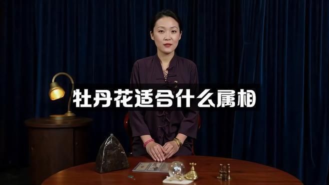 牡丹花最旺的屬相，《牡丹花最旺的屬相》 牡丹花最旺的屬相，《牡丹花最旺的屬相》 龍魚百科