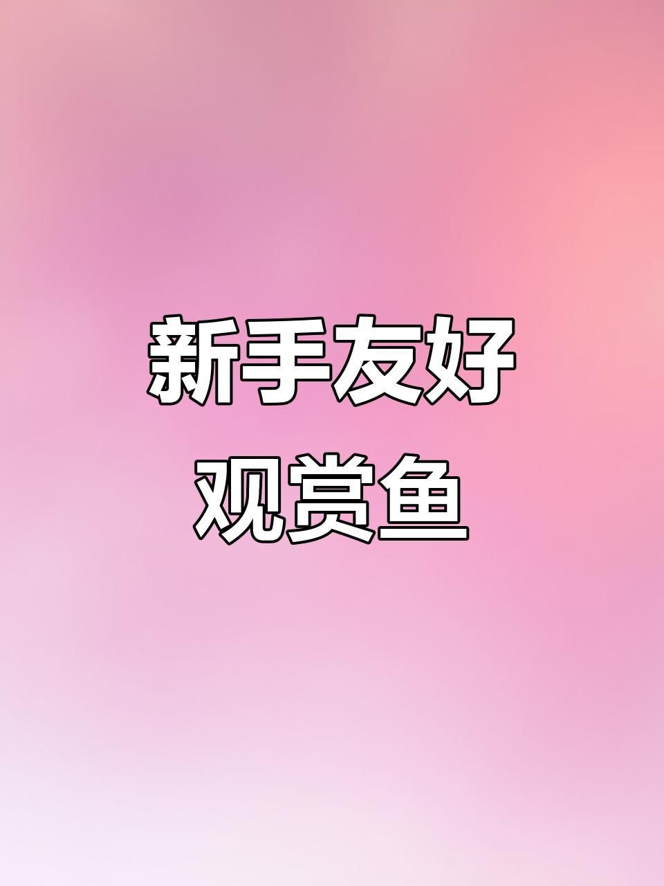 新手入門觀賞魚推薦，《新手入門觀賞魚推薦》初涉觀賞魚領域的新手而言 新手入門觀賞魚推薦，《新手入門觀賞魚推薦》初涉觀賞魚領域的新手而言 龍魚百科 第1張