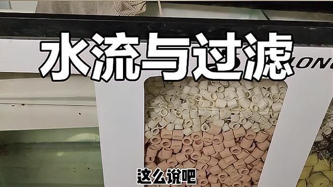 濾材是泡著好還是水流過好，濾材是泡著好還是水流過好靈魂畫師濾材擺放技巧