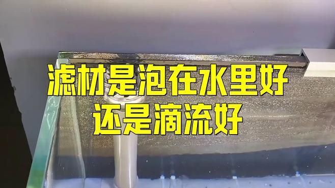 濾材是泡著好還是水流過好，濾材是泡著好還是水流過好靈魂畫師濾材擺放技巧