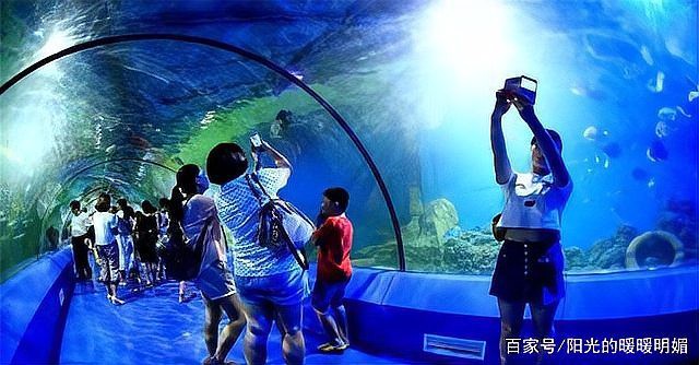 世界公認三大頂級魚缸，世界三大頂級水族館 世界公認三大頂級魚缸，世界三大頂級水族館 龍魚論壇 第1張