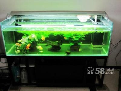 玻璃魚缸制作