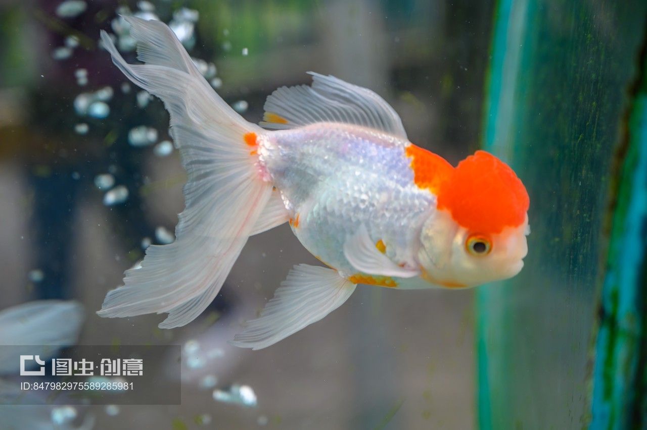 玻璃魚缸制作